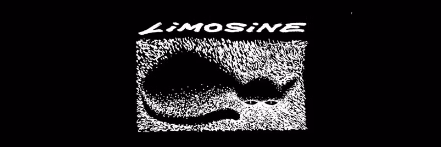 Limosine Skateboards Now at Nordic Skateboard Supply