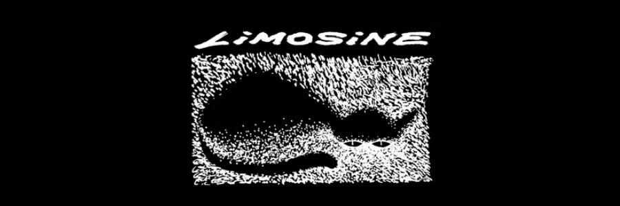 Limosine Skateboards Now at Nordic Skateboard Supply