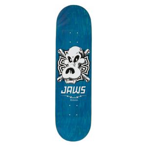 Skateboard Birdhouse Aaron Jaws Homoki Skull 8,25''