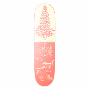Skateboard Roger Bluebonnet Austin Amelio 8,25''