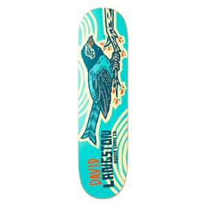 Skateboard Roger Spring Bird Langstron 8,25''