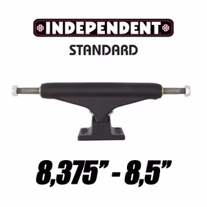 Independent 149 Standard Skateboard Trucks Matt Black