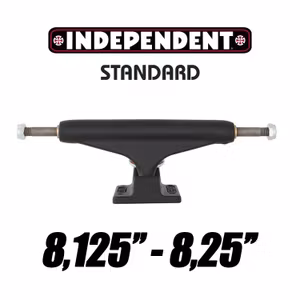 Independent 144 Standard Skateboard Trucks Matt Black