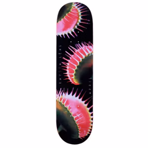 Skateboard April Raysa Leal Snappy 8.25"