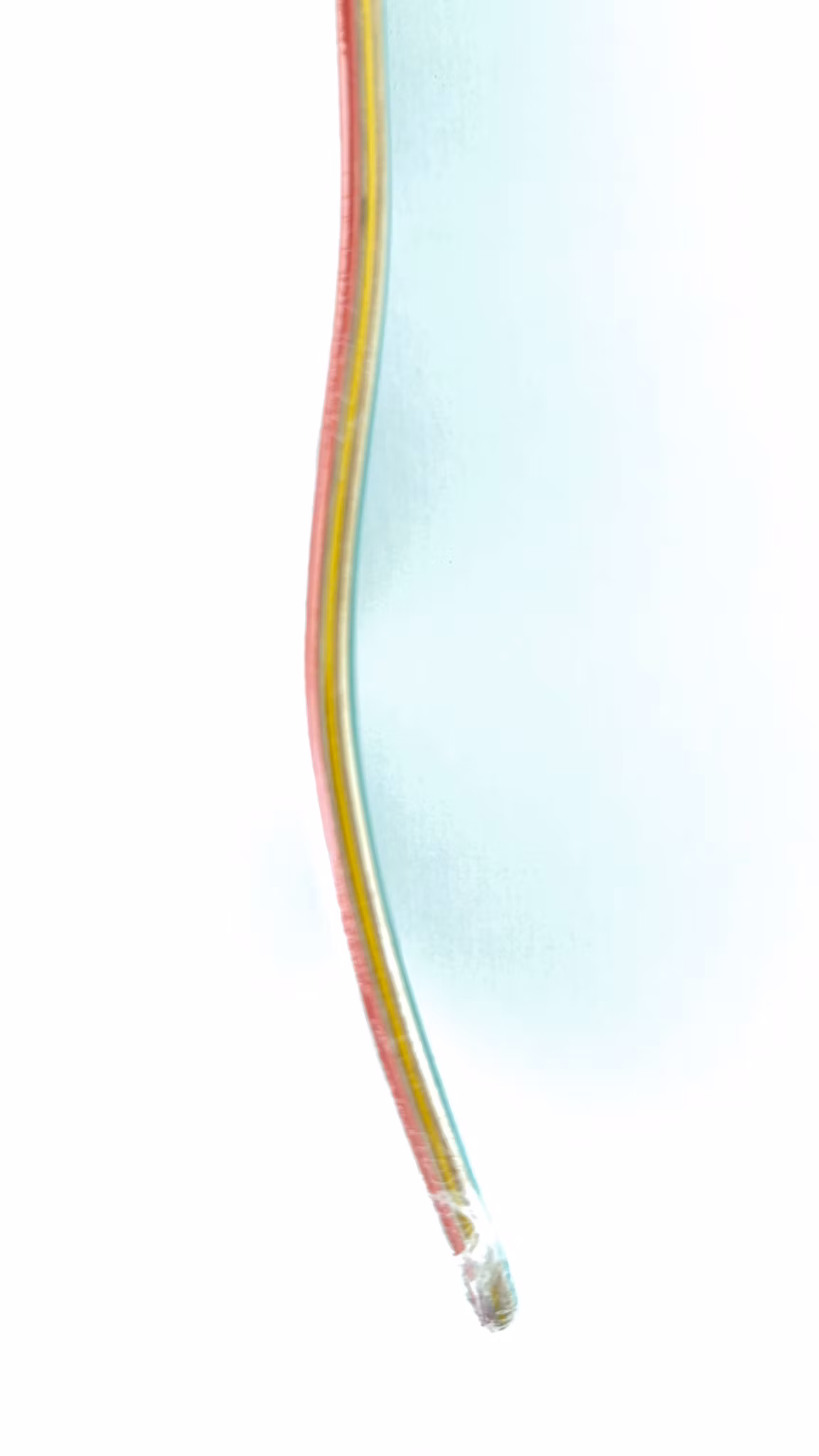 Zero Skateboards Sheckler Bold Skateboard 8.25 inchkick tail – Nordic Skateboard Supply