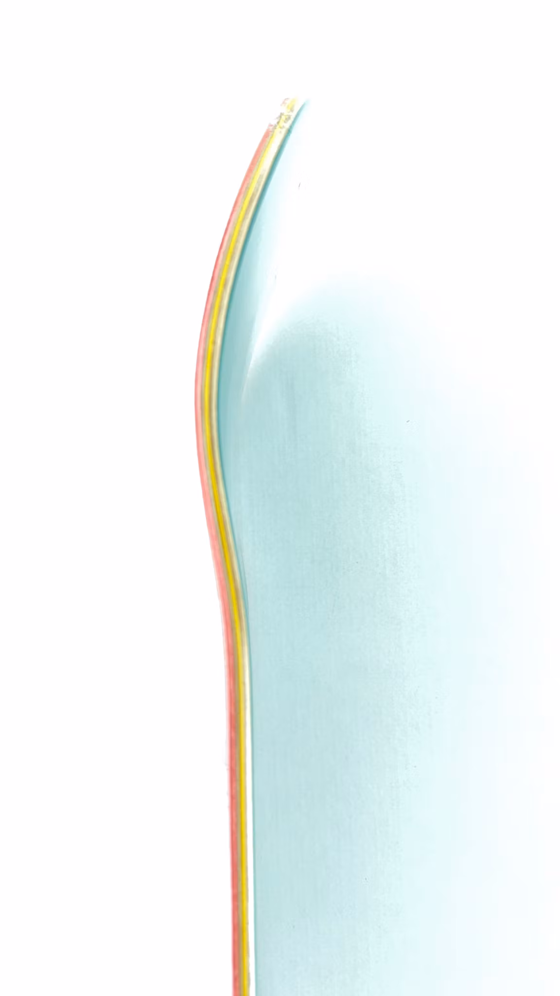 Zero Skateboards Sheckler Bold Skateboard 8.25 inch kick nose – Nordic Skateboard Supply