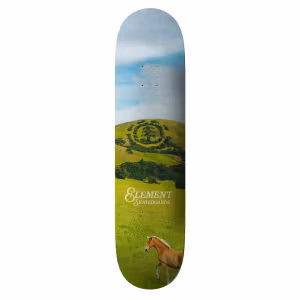 Skateboard Element Roam Free 8,5''