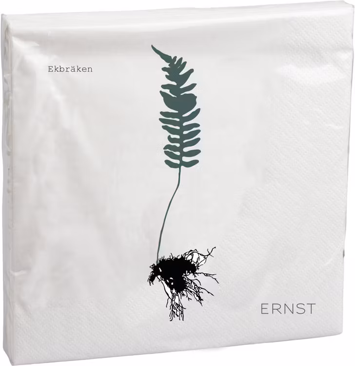 Servett - ekebräken ERNST