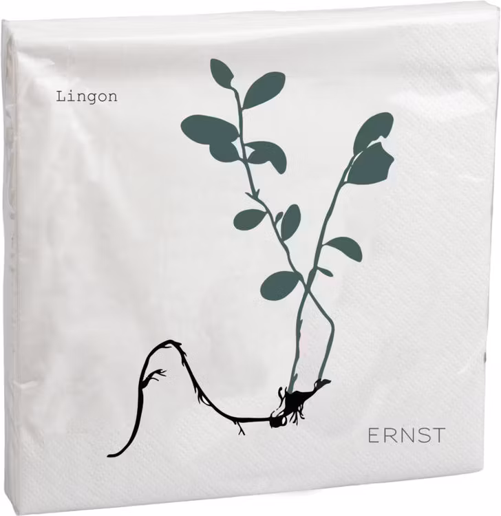Servett - Lingon ERNST