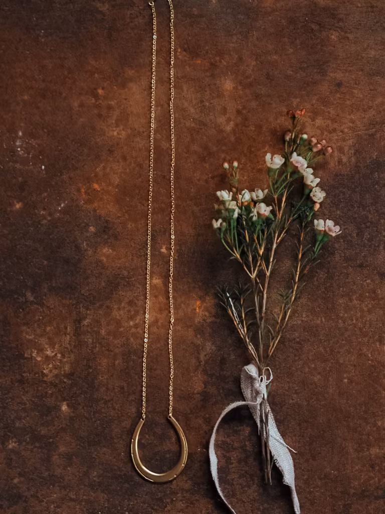 Halsband HÄSTSKO