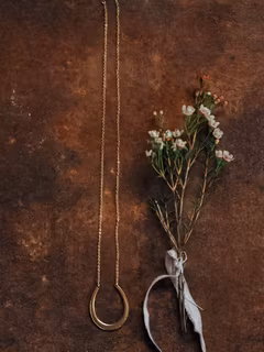 Halsband HÄSTSKO