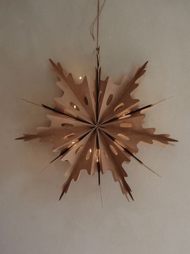 Julstjärna med LED-belysning NATUR