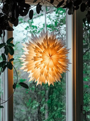 Julstjärna SPIKY