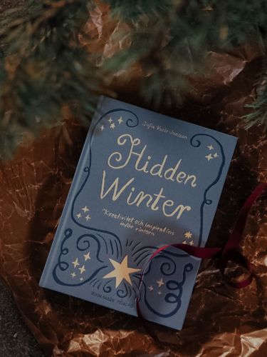 BOK - Hidden Winter