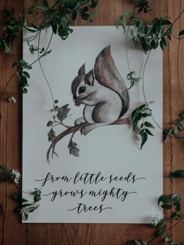 Poster LITTLE SEEDS A3