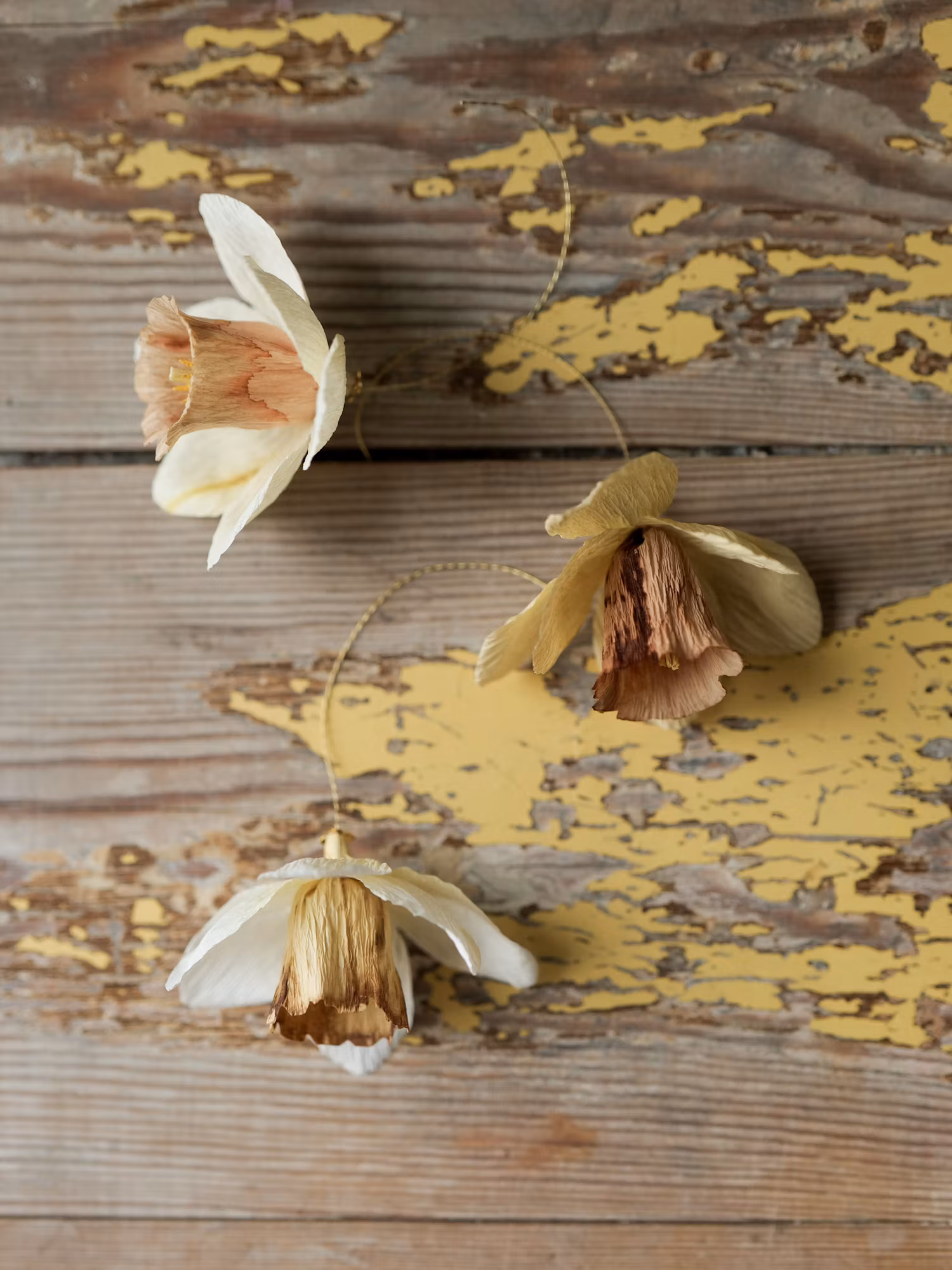3st handgjorda NARCISSER i papper