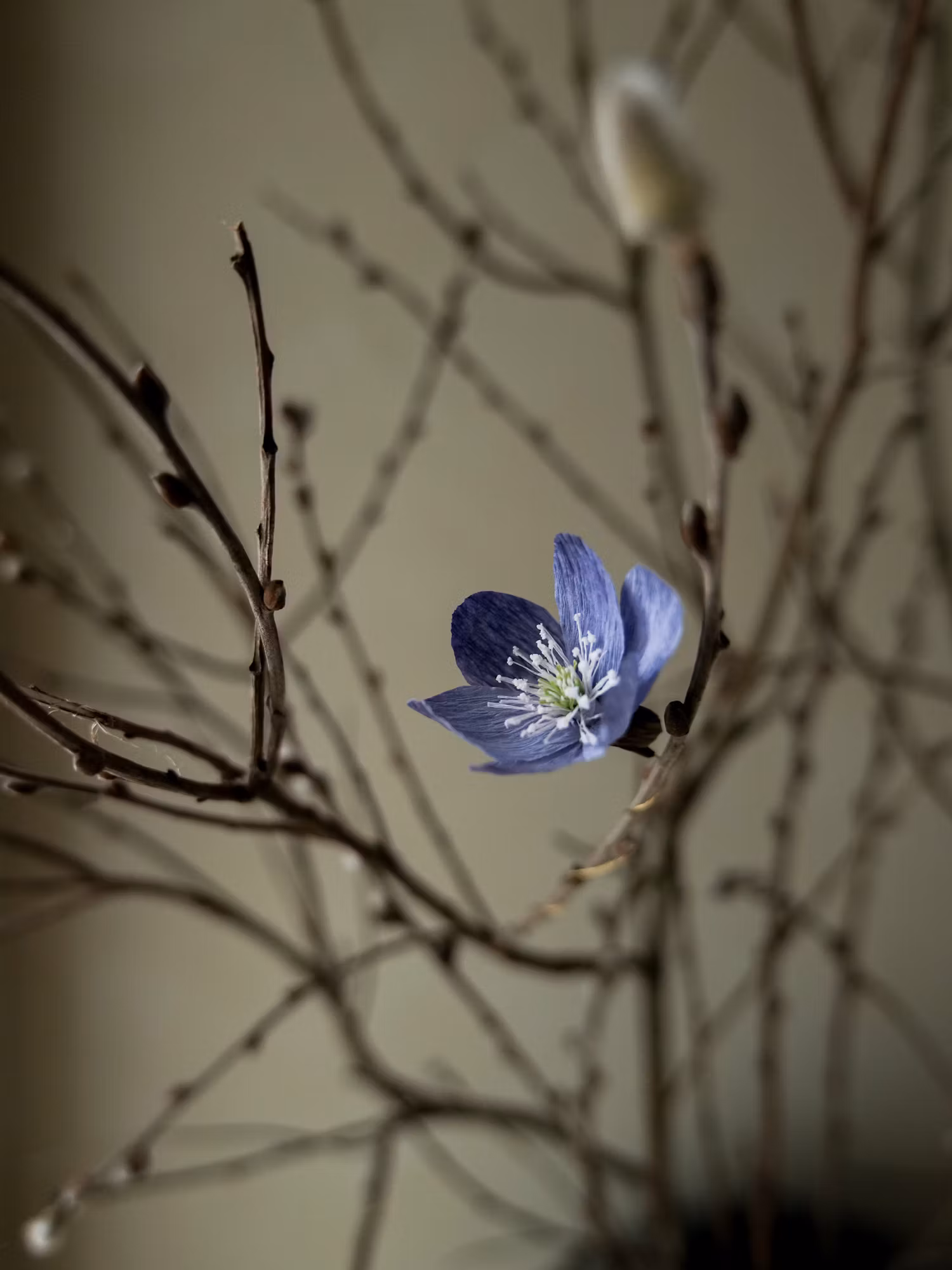 3st handgjorda BLÅSIPPOR i papper