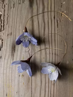 3st handgjorda BLÅSIPPOR i papper