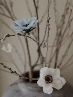 3 st handgjorda ANEMONER VIT i papper - Linnéa Ahlsten Lundgren