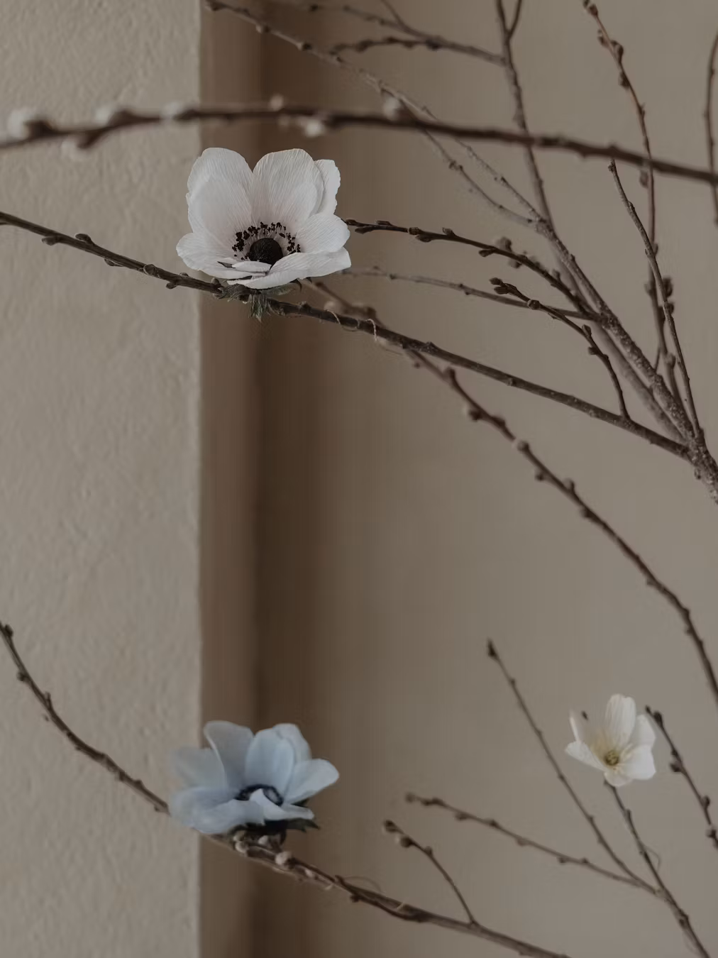 3 st handgjorda ANEMONER VIT i papper - Linnéa Ahlsten Lundgren