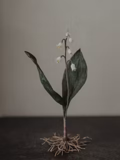 Handgjord LILJEKONVALJ i papper   NO. 1