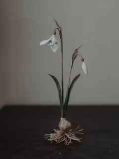 Handgjord SNÖDROPPE PÅ LÖK i papper NO. 3