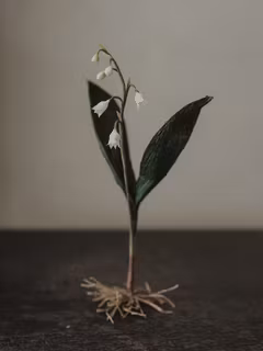 Handgjord LILJEKONVALJ i papper NO. 3