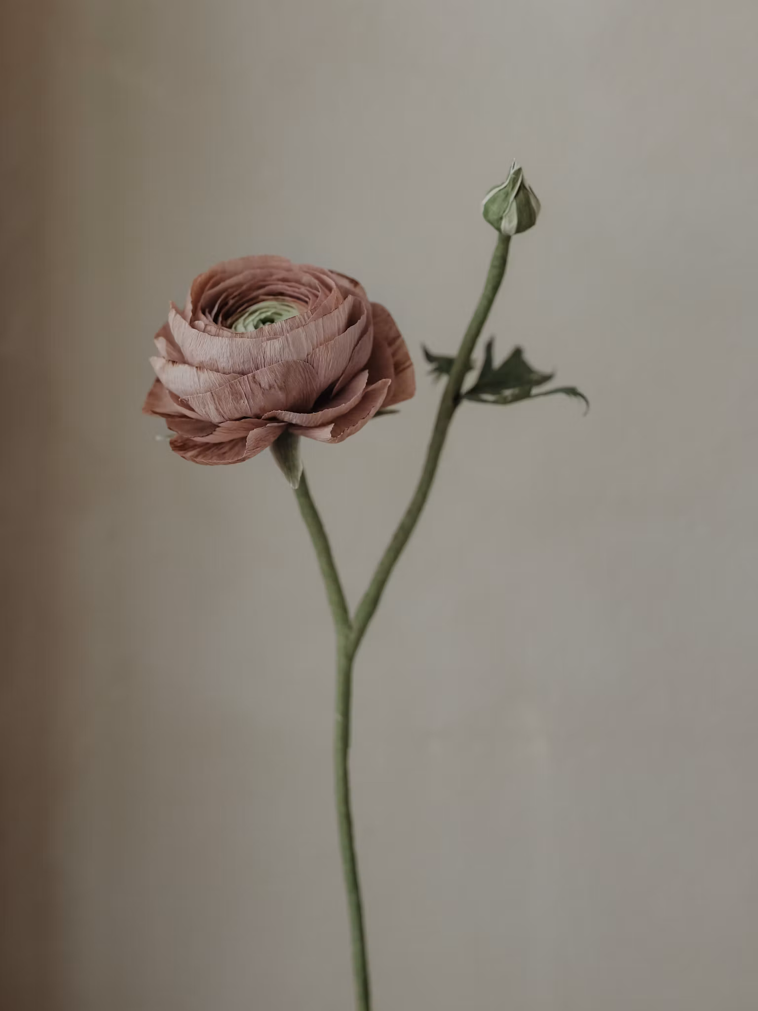 Handgjord RANUNKEL m. knopp MAUVE NO. 2