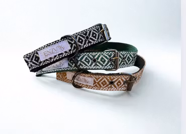 Nordic skärpknäppe