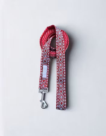 Nordisk Saga koppel