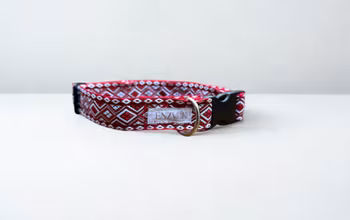 Nordisk Saga knäppe