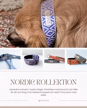 Nordic set koppel + halsband (3.8cm)