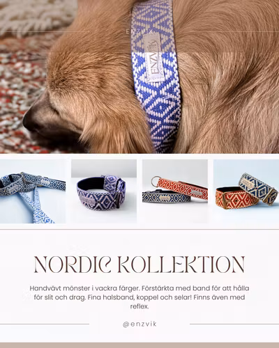 Nordic set koppel + halsband (3.8cm)