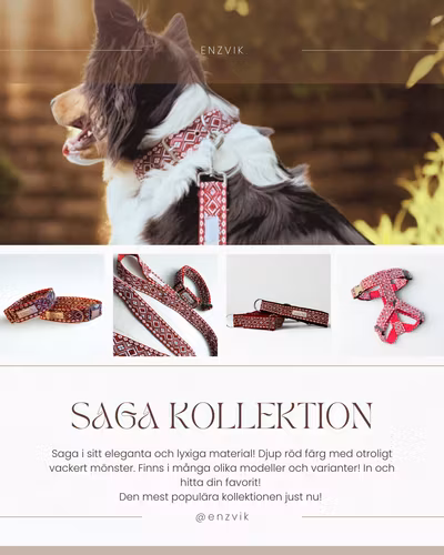 Saga set halsband + koppel 2m