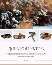 Björk set (koppel + halsband)