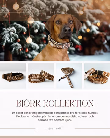 Björk set (koppel + halsband)