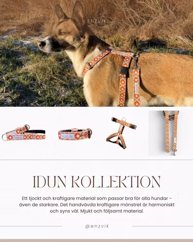 Idun set (Halsband + koppel 2m)