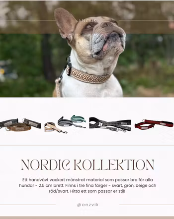 Nordic set (2.5 cm)