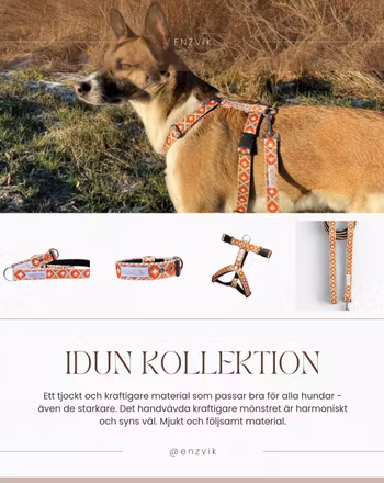 Idun set