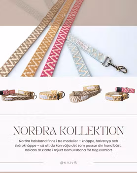 Norðra set