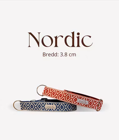 Nordic 3.8cm halsband