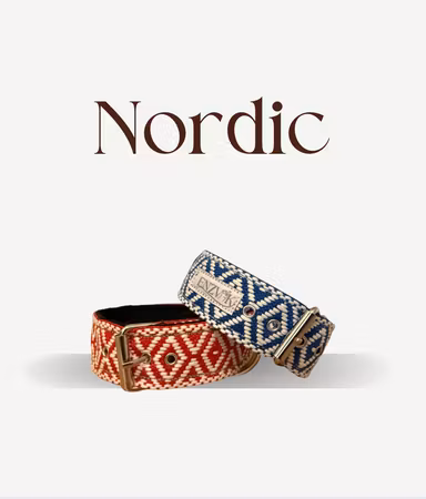 Nordic 3.8cm halsband