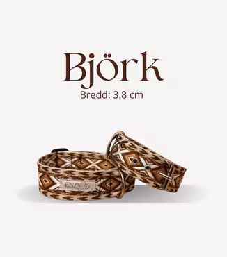 Björk halsband