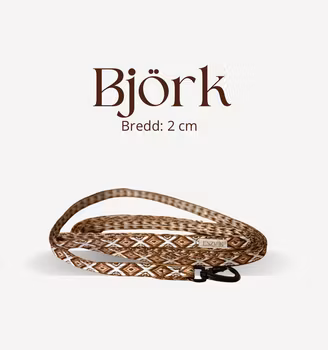 Björk koppel