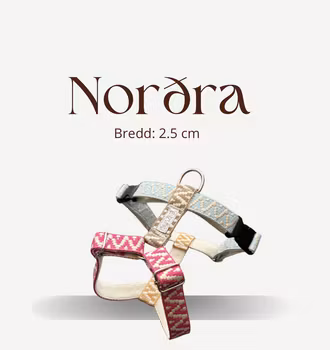 Norðra Y-sele