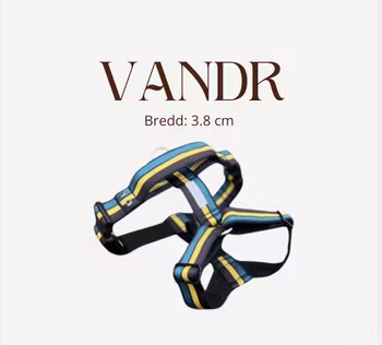Vandr