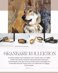 Granbarr set