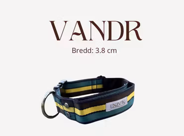 Vandr halsband