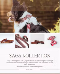 Saga set