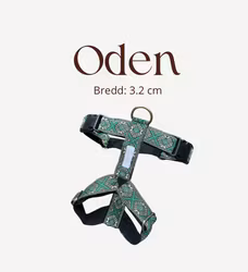 Oden Y-sele